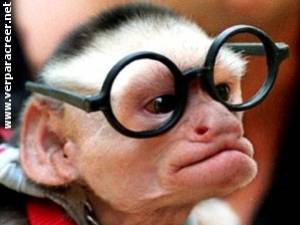 singe